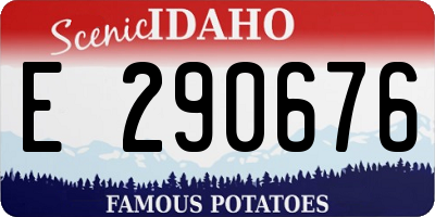 ID license plate E290676