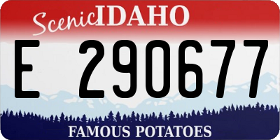 ID license plate E290677