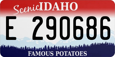 ID license plate E290686