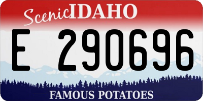 ID license plate E290696
