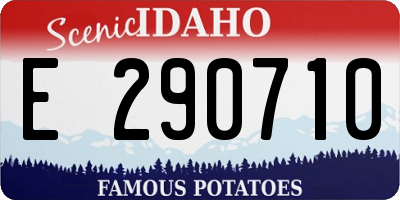 ID license plate E290710