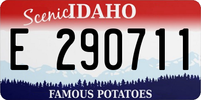 ID license plate E290711