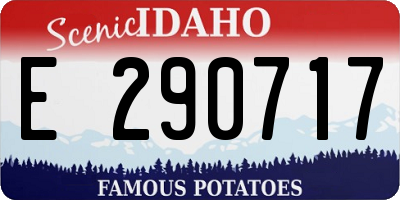 ID license plate E290717