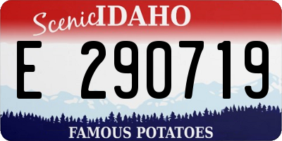 ID license plate E290719