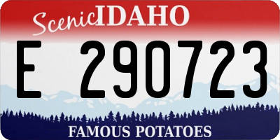 ID license plate E290723