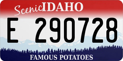 ID license plate E290728