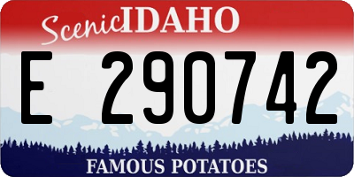 ID license plate E290742