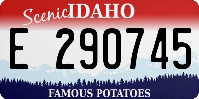 ID license plate E290745