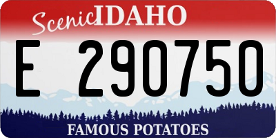 ID license plate E290750
