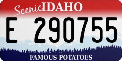 ID license plate E290755