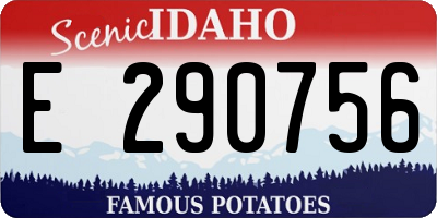 ID license plate E290756