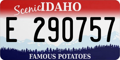ID license plate E290757