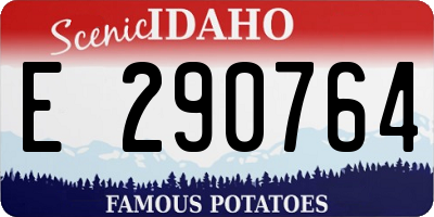 ID license plate E290764