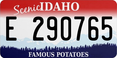 ID license plate E290765