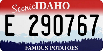 ID license plate E290767