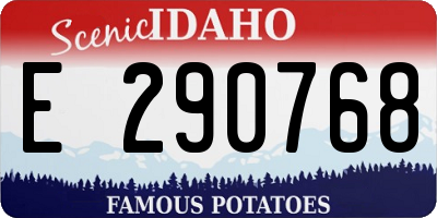 ID license plate E290768