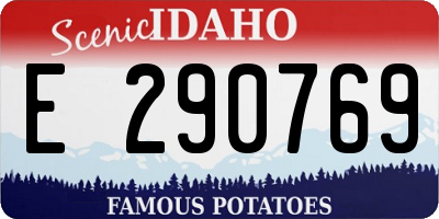 ID license plate E290769