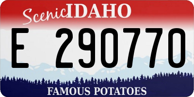 ID license plate E290770