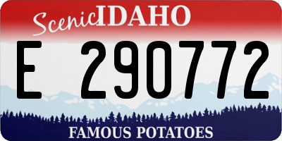 ID license plate E290772