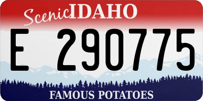 ID license plate E290775