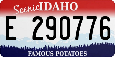 ID license plate E290776