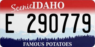 ID license plate E290779