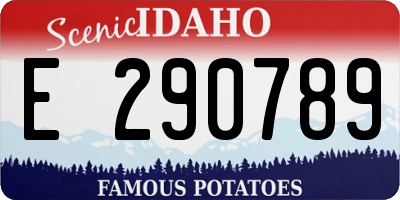 ID license plate E290789