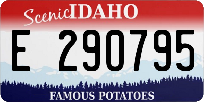 ID license plate E290795