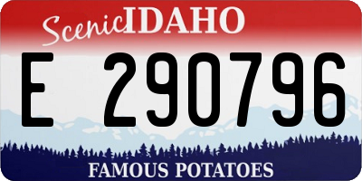 ID license plate E290796