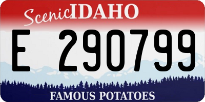 ID license plate E290799