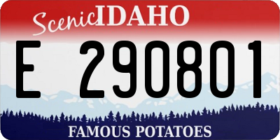ID license plate E290801