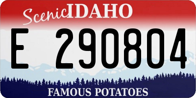 ID license plate E290804