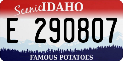 ID license plate E290807