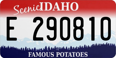 ID license plate E290810