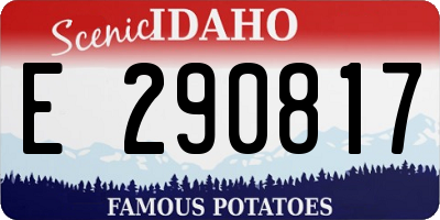 ID license plate E290817
