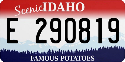 ID license plate E290819