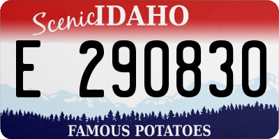 ID license plate E290830
