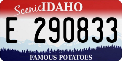 ID license plate E290833