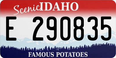 ID license plate E290835
