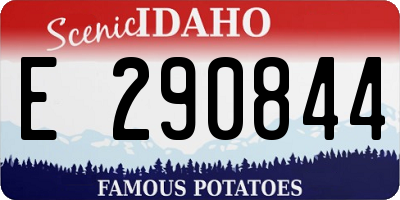 ID license plate E290844