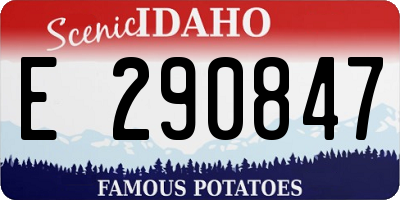 ID license plate E290847