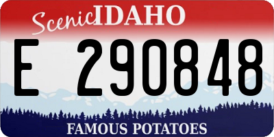 ID license plate E290848