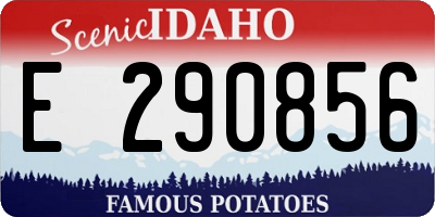 ID license plate E290856