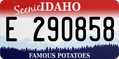 ID license plate E290858
