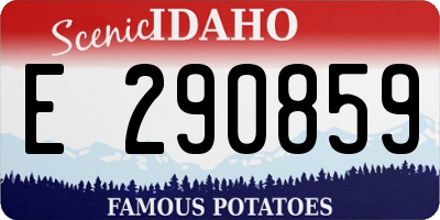 ID license plate E290859