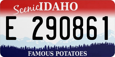 ID license plate E290861