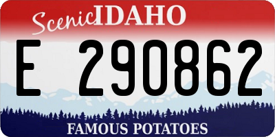 ID license plate E290862