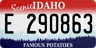 ID license plate E290863