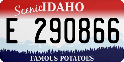 ID license plate E290866