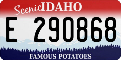 ID license plate E290868